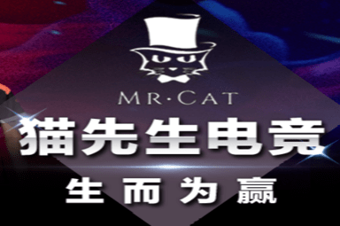 猫先生电竞官方网站