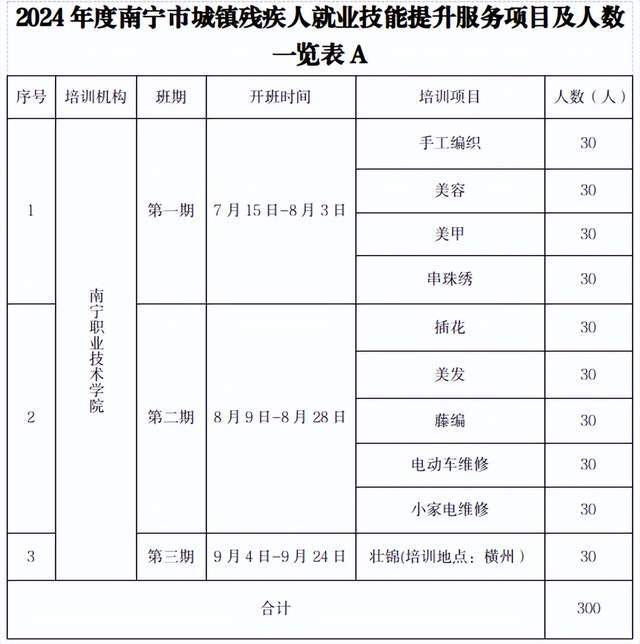 南宁市2024年度城镇残疾人就业技能提升服务培训班即将开班猫先生官方网站