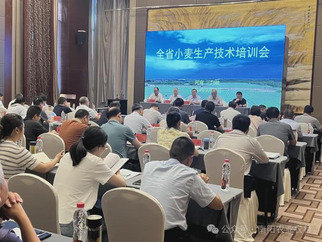 2024年秋季粮油作物机收减损与农机生产技术网络培训举办 省农业技术推广总站举办全猫先生官方网站省小麦生产培训会(图3)