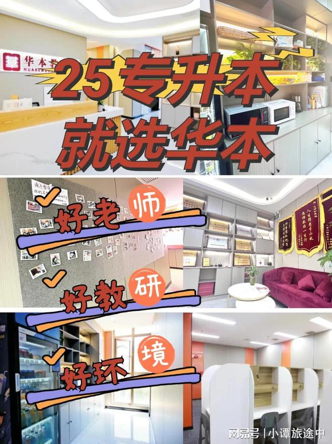 猫先生湖北专升本通过率最高的培训机构揭晓（最新）(图2)