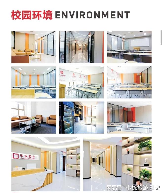 湖北武汉专升本培训机构口碑榜综合猫先生测评！(图4)