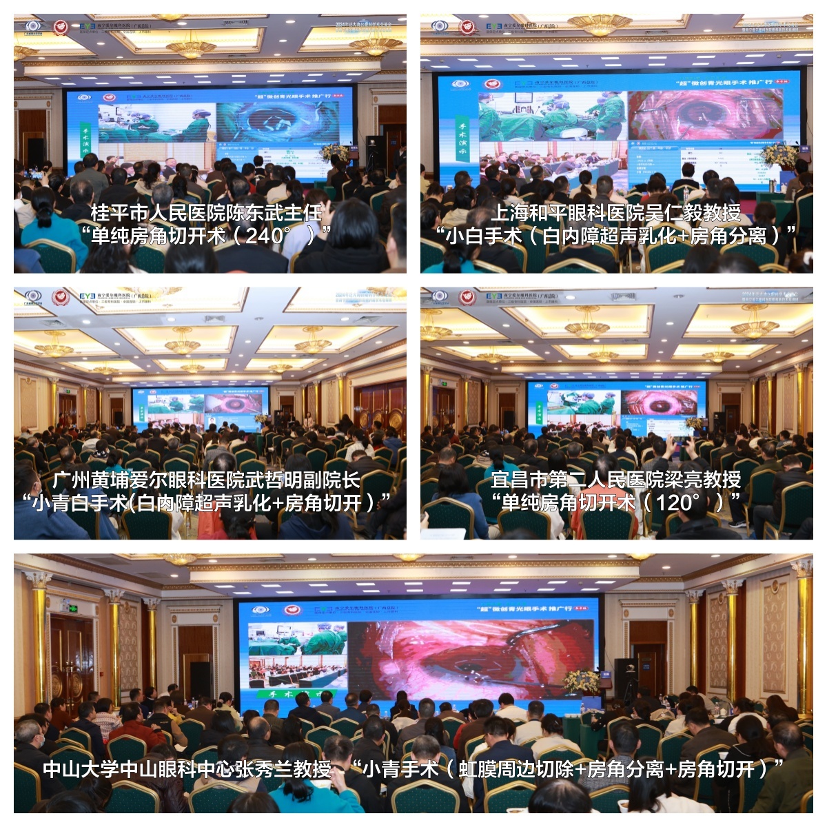 猫先生官方网站圆满落幕！2024年泛大湾区眼科学术交流会暨南宁爱尔眼科医院新技术培训班(图7)