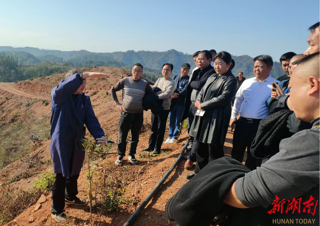 猫先生官方网站沅陵县成功举办2024年油茶实用技术培训班